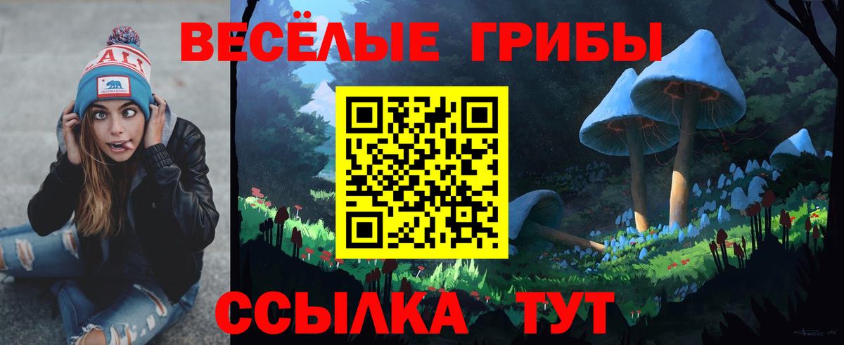 Псилоцибиновые грибы Psilocybe Кумертау