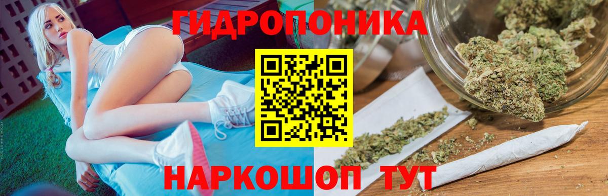 Каннабис OG Kush  Вход с VPN  Кумертау  Канабис семена  Марихуана LSD WEED  Марихуана Bruce Banner 